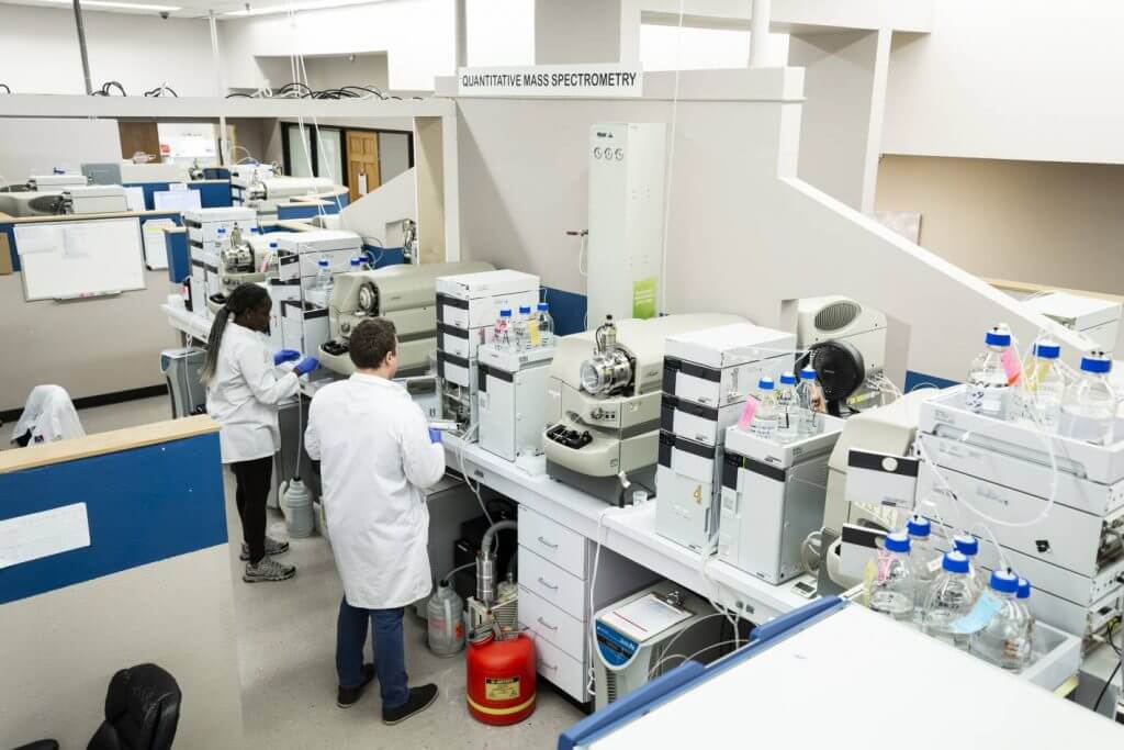 staff in laboratory testing thc and cbd levels in cannabis and hemp samples