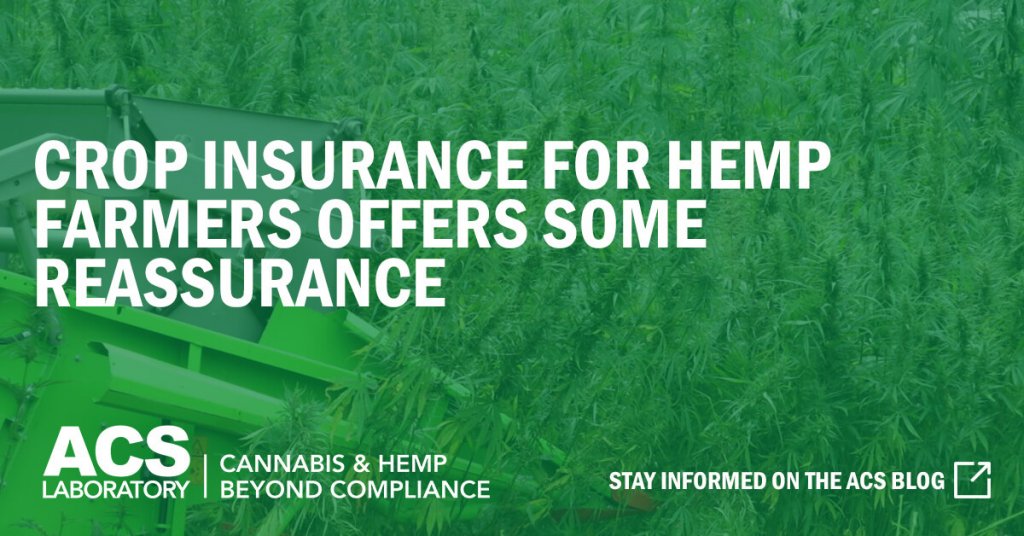 Crop Insurance for Hemp Darmers Offers Some Reassurance