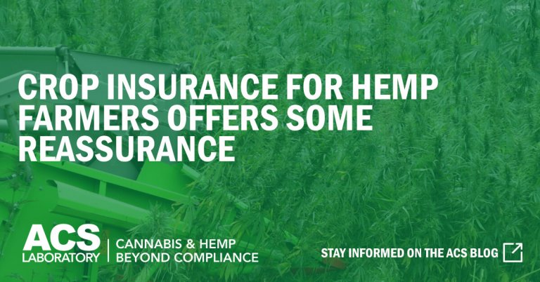 Crop Insurance for Hemp Darmers Offers Some Reassurance