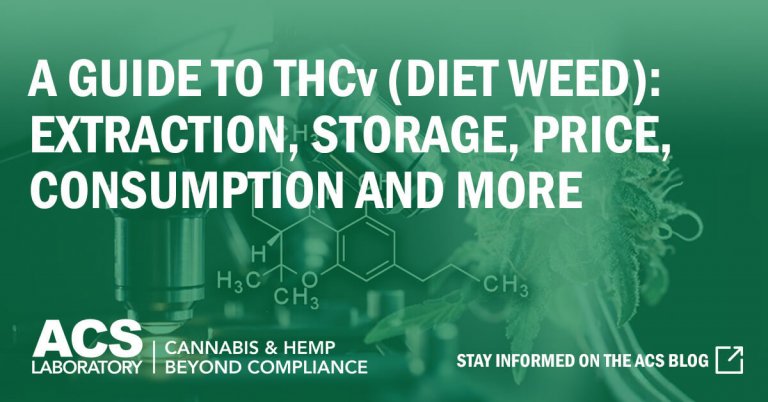 A Guide To THCv (Diet Weed) Extraction, Storage, Price, Consumption And More