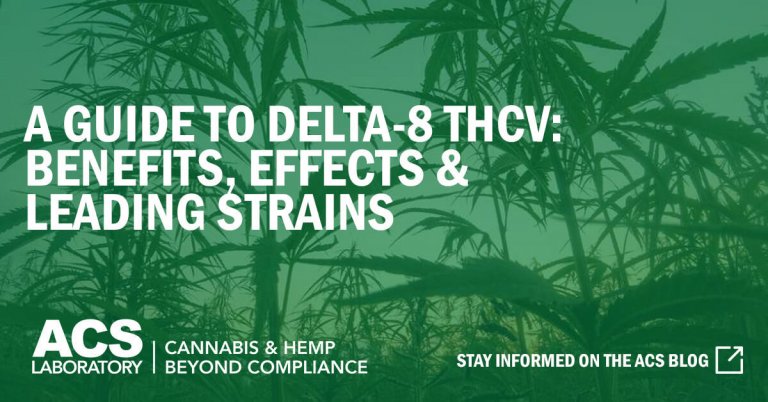 A Guide to delta-8 THCV: Benefits, Effects & Leading Strains