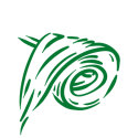 cannabis extracts cannabis wax extract
