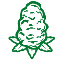 hemp buds cannabis bud flower